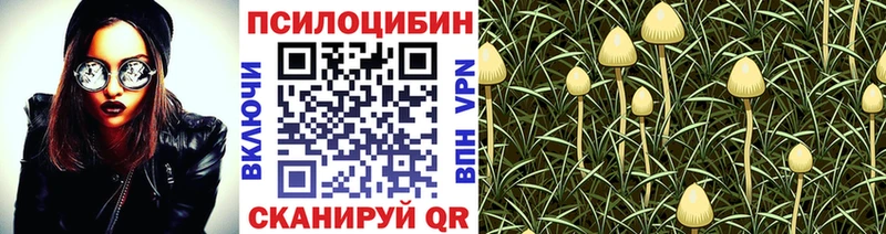 кракен как зайти  Спас-Клепики  Галлюциногенные грибы мухоморы 