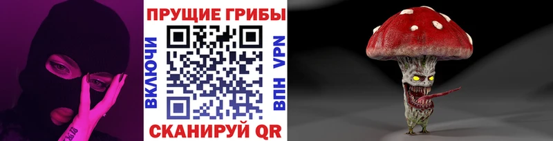 Галлюциногенные грибы ЛСД Спас-Клепики